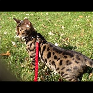 🌸🌸❤️❤️💋💋SALE SALE SALE CLEAR OUT NOW!!!!